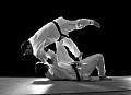 Seminarium „Zastosowanie technik judo w samoobronie”